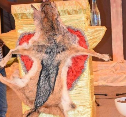 Pastor kills a dog, eats it raw during service lailasnews 1