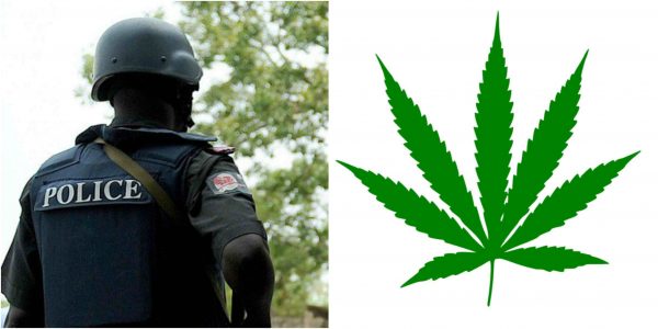 Policemen allegedly 'planted' weed in passenger's bag in Anambra lailasnews