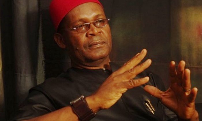 Joe Igbokwe