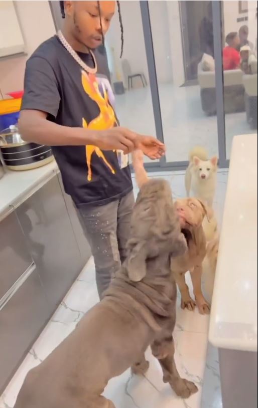  Naira Marley feeding