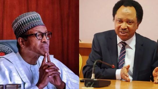 Shehu Sani