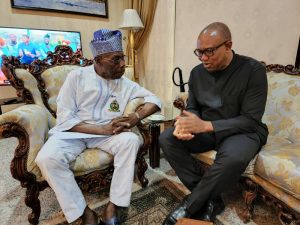 Peter Obi with former President Olusegun Obasanjo