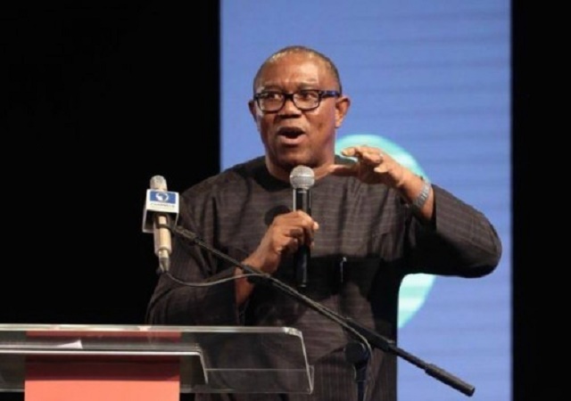 I Am In Presidential Race to Transform Nigeria: Peter Obi