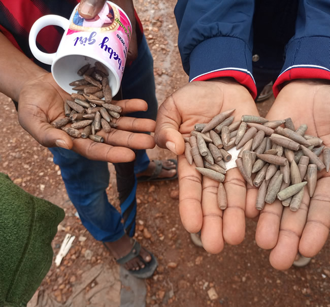 Picture of bullets picked by residents 