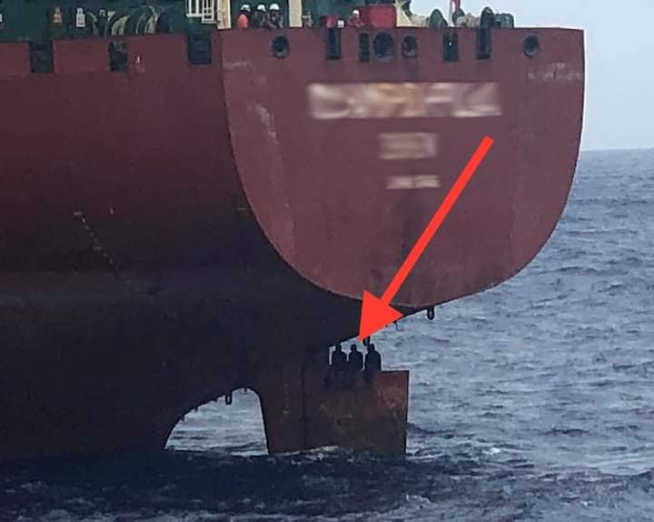 Three stowaways survive 