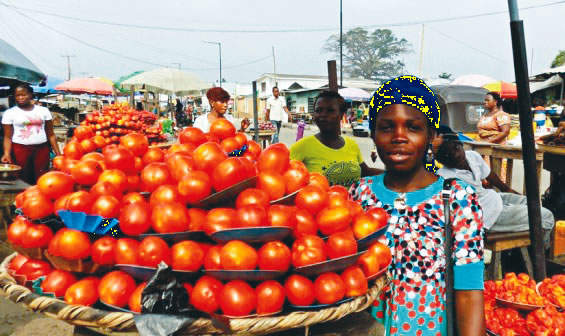 Sellers, food vendors, housewives, the tomato crisis is troubling many people across the country