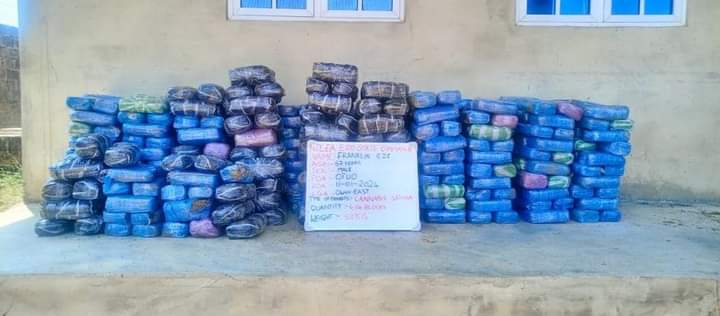 PICTORIAL: NDLEA intercepts Canadian loud in Lagos, seizes tramadol pills