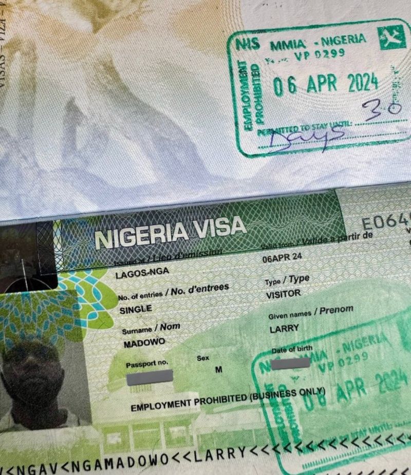 CNN International correspondent, Larry Madowo, has expressed dismay over Nigeria's visa fees.